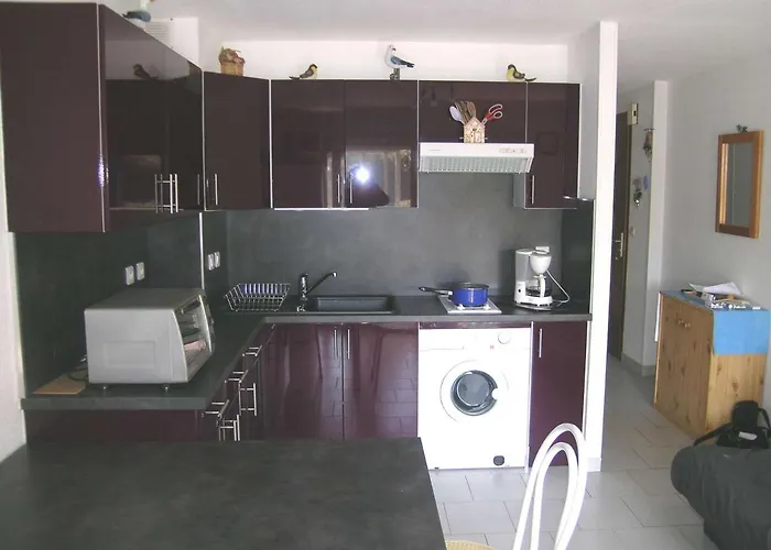 Climatise 4 Pers, Proche Avec Terrasse Et Parking Prive - Fr-1-387-90 Marseillan (Herault)