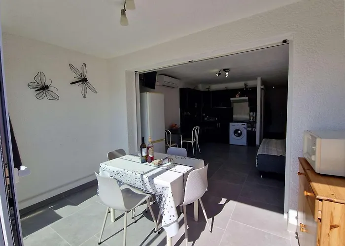 Climatise 4 Pers, Proche Avec Terrasse Et Parking Prive - Fr-1-387-90 Marseillan (Herault)